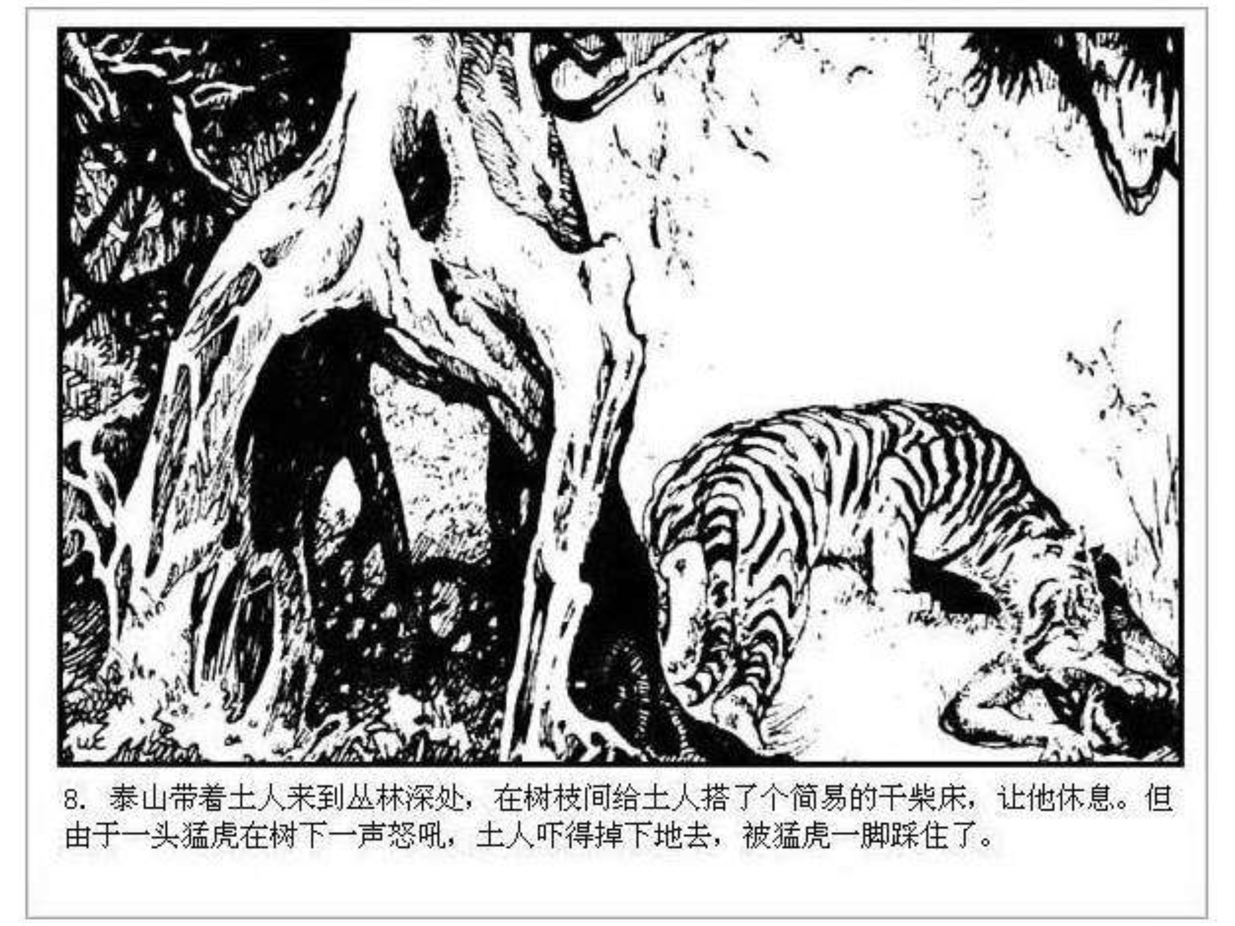 人猿泰山卡通画,连环画泰山凯旋钱贵荪绘