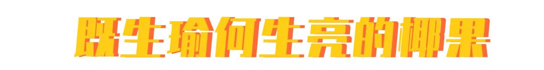 奶茶像八宝粥,奶茶越来越像八宝粥