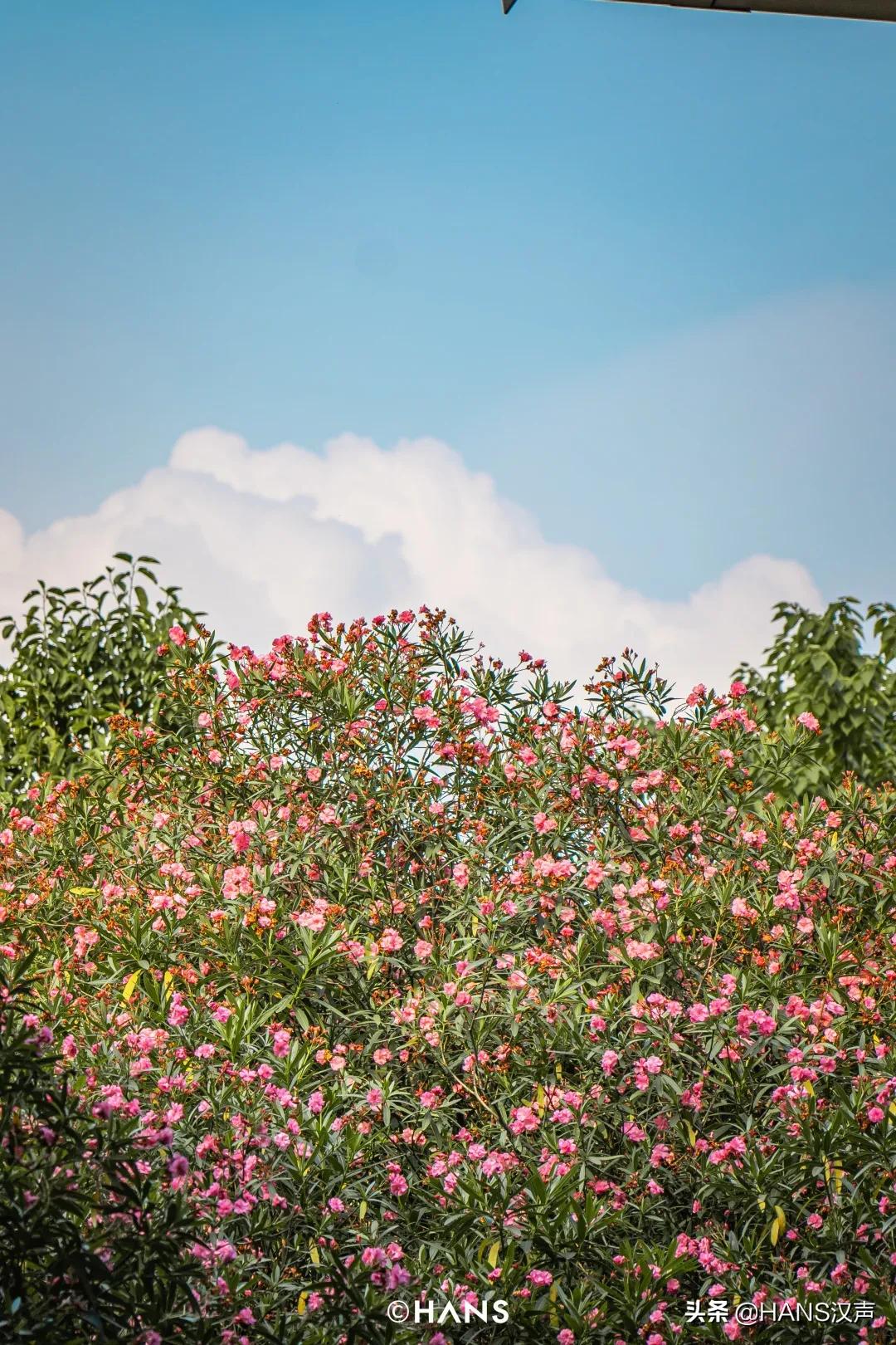 武汉人游玩好去处,武汉人玩乐的地方推荐