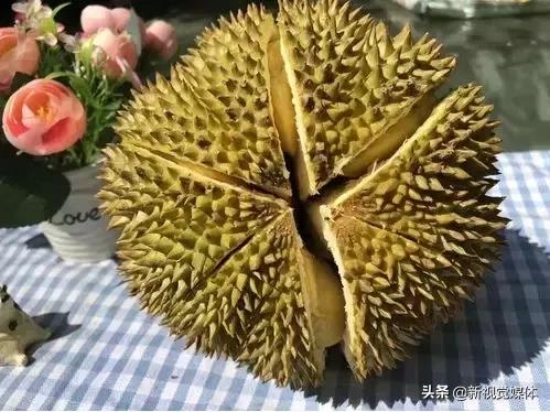 甲仑榴莲口感是榴莲界的爱马仕,榴莲甲仑口感