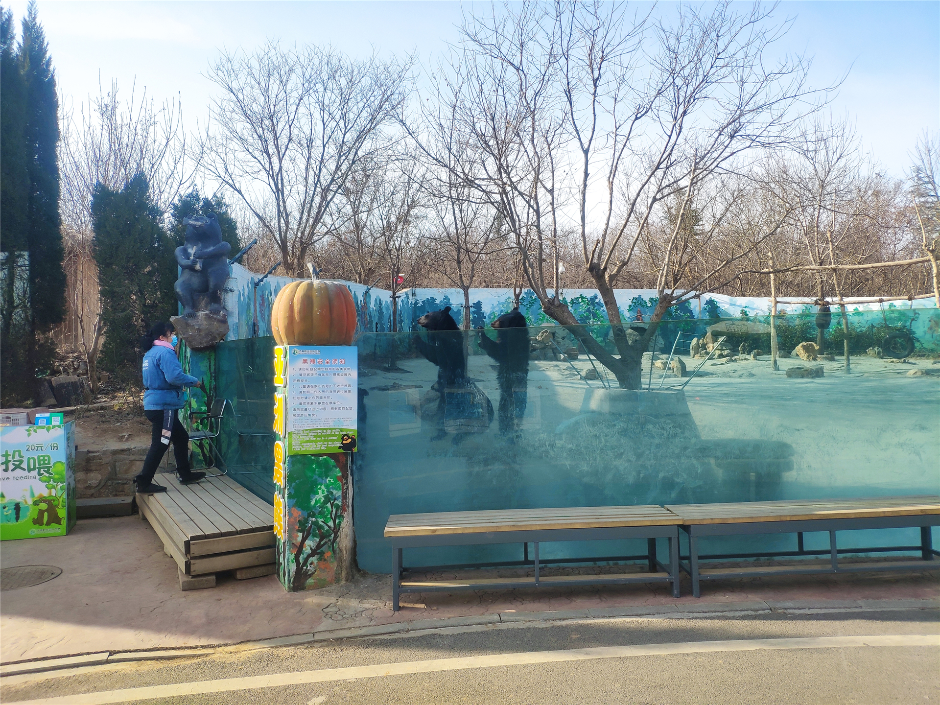 推荐一个好地方长隆野生动物世界,长隆野生动物世界全景