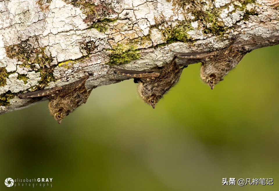 选择曝光快捷键,选择曝光