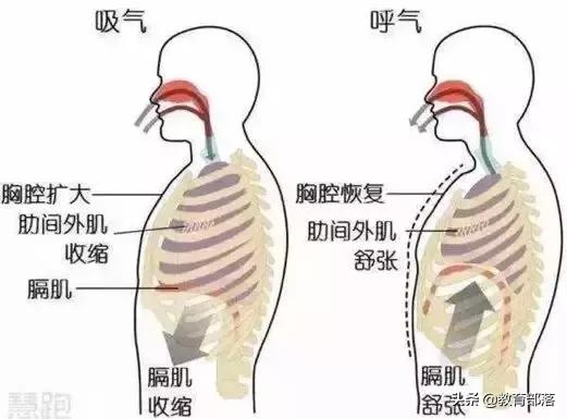 初中生物会考复习计划,初中生物会考复习资料全套