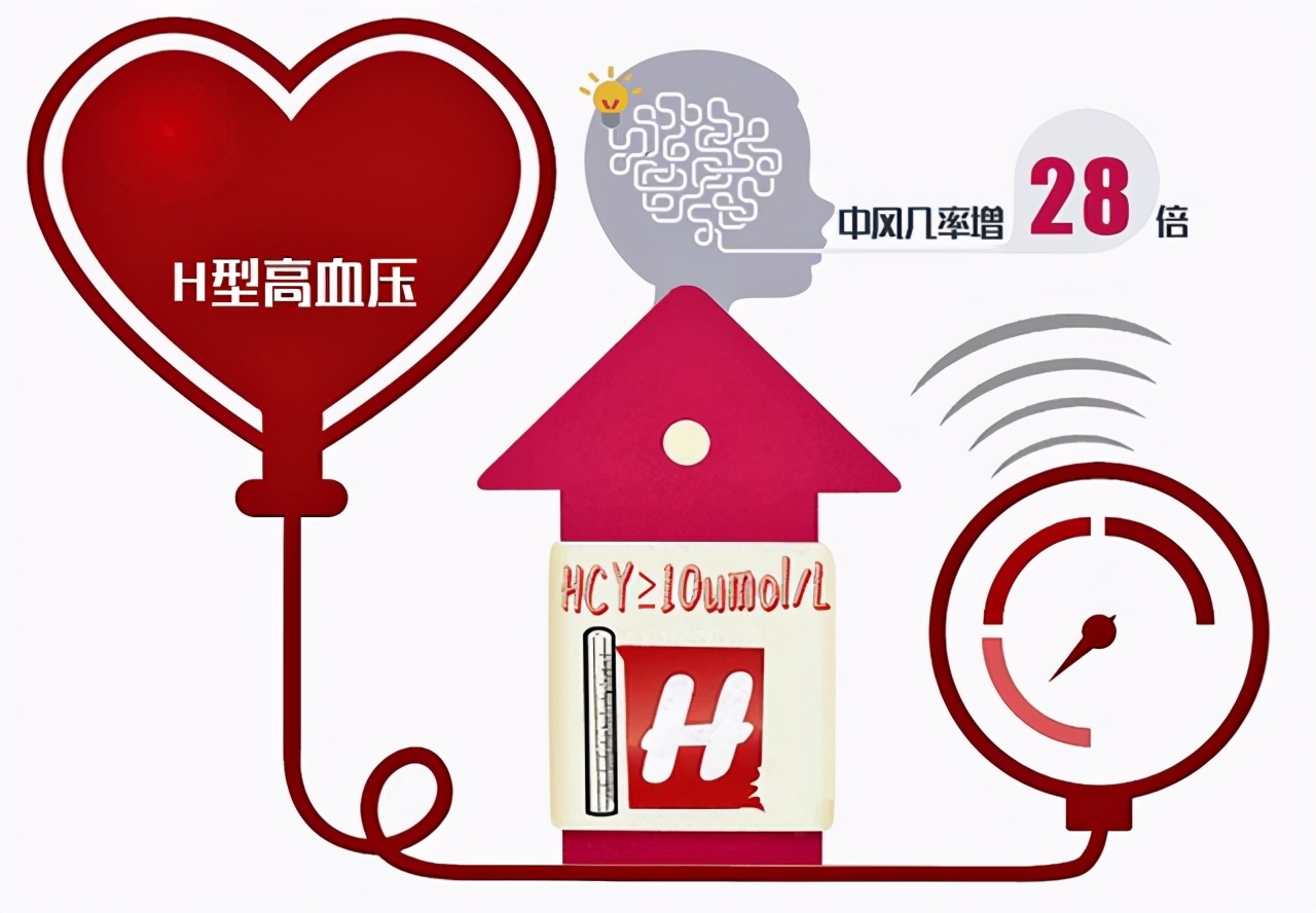 高血压人吃哪个牌子叶酸片比较好,高血压吃什么样的叶酸片好