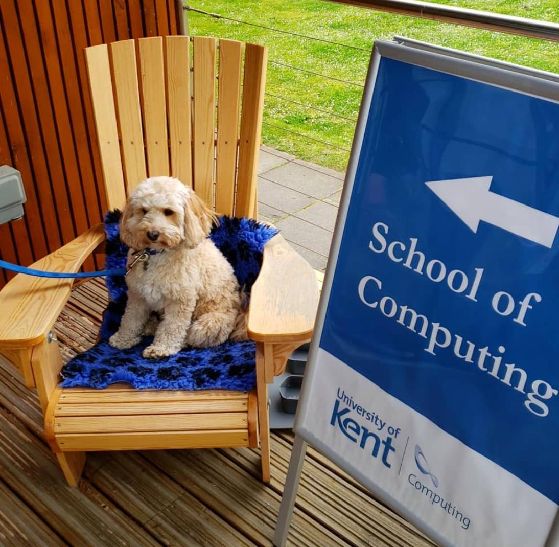 英国肯特大学qs2022,肯特大学惨案镜头