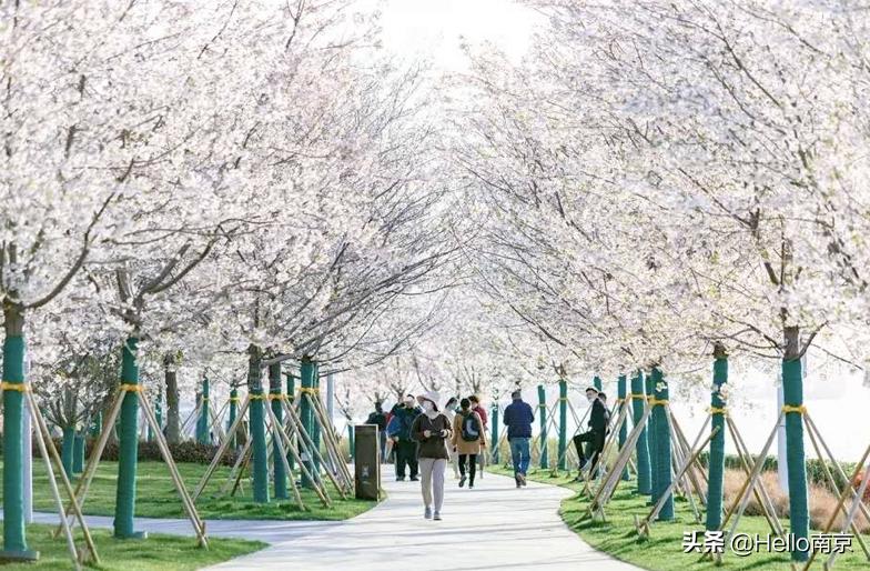 秋天的第一个打卡地,秋天里的第一道美景