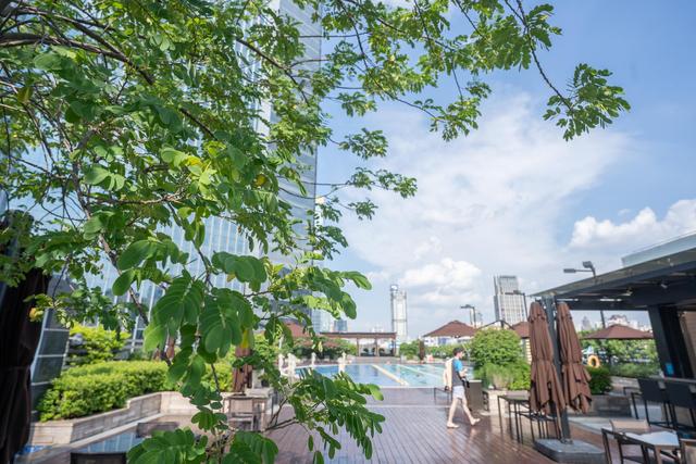 广州市性价比高的带泳池的酒店,广州市的露天泳池酒店