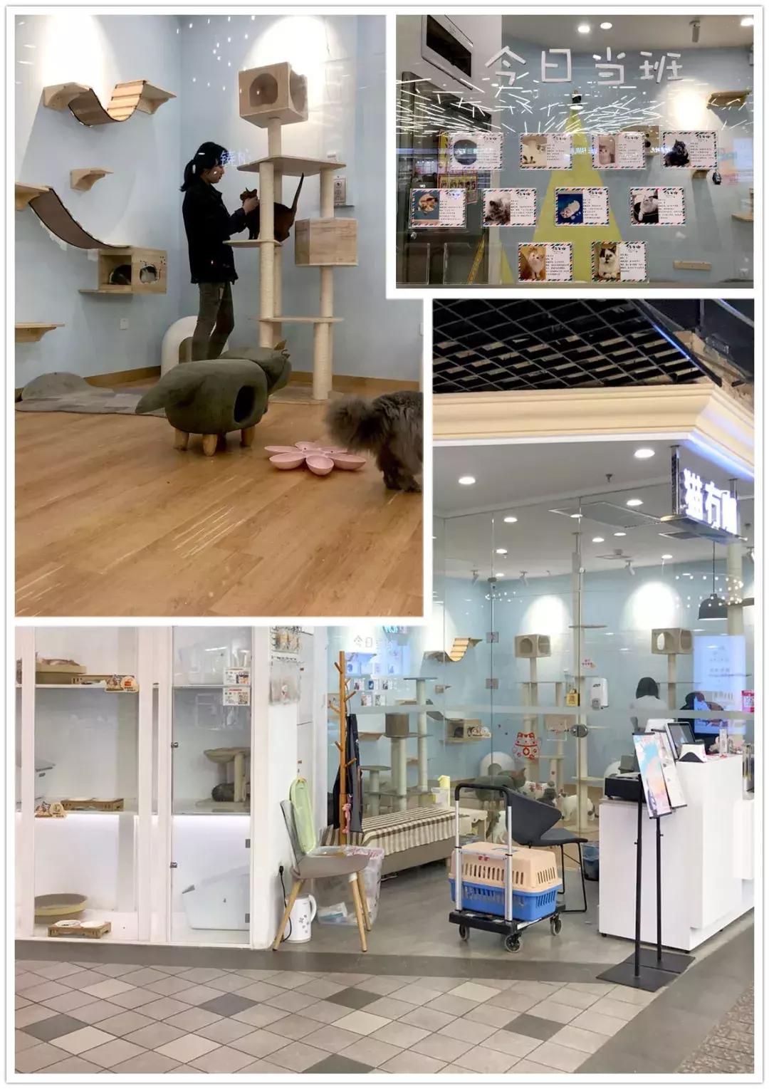 dior新年护肤品,dior新款化妆品