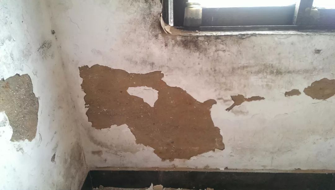 发霉墙面翻新步骤以及成本,解决墙面发霉的最好方法