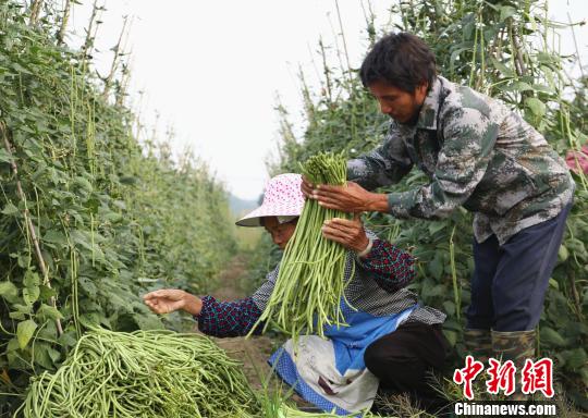 广西柳州正宗特产螺蛳粉,柳州螺蛳粉从路边摊走向网红产业