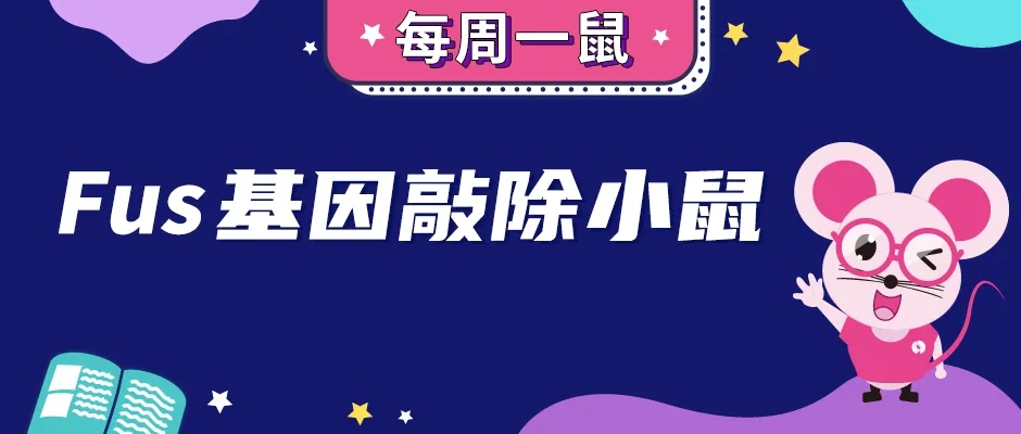 基因敲除小鼠回交,基因敲除小鼠流程