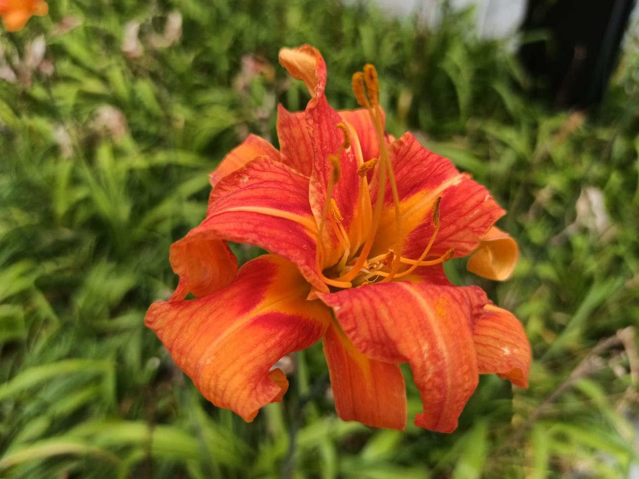 麦芒9手机隐藏功能,华为麦芒9有什么功能介绍