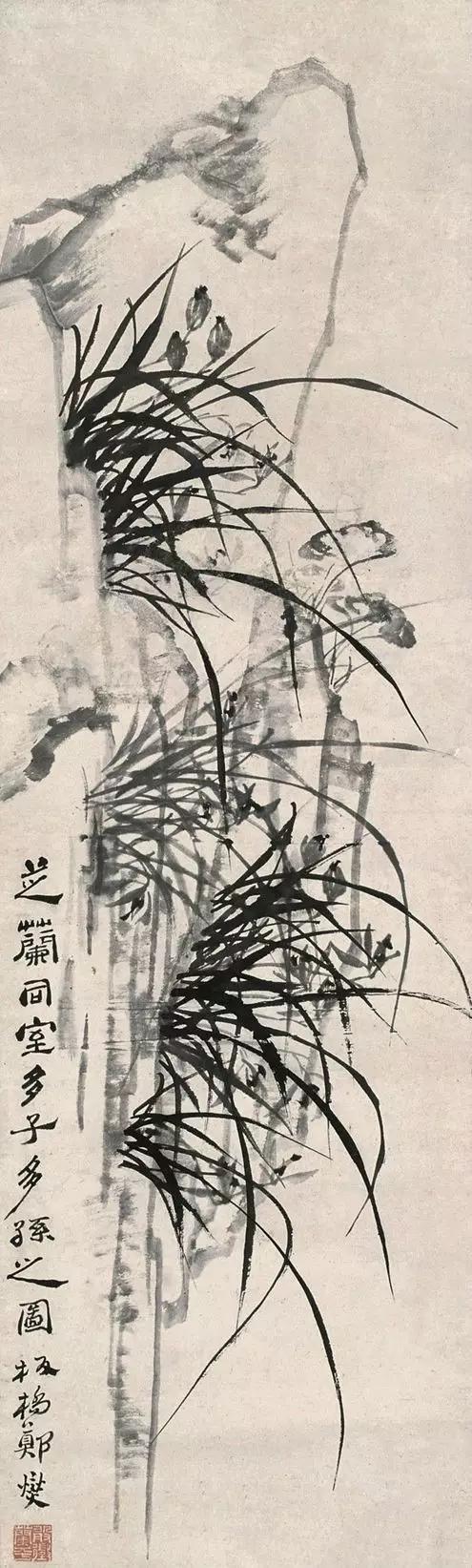 赏析郑板桥写意兰花画,郑板桥题画兰草书图片