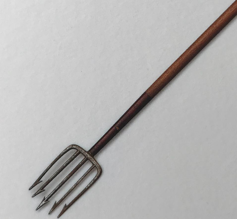 商王弓箭射大鳖,西周有个射鱼国,商周名流必备的鱼鳔箭头了解下