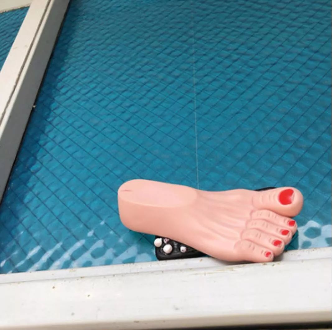 吐槽那些没用的沙雕手机壳 (什么手机壳最沙雕)