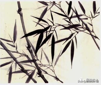 图文教程竹子画法,怎么画竹最简单最好看