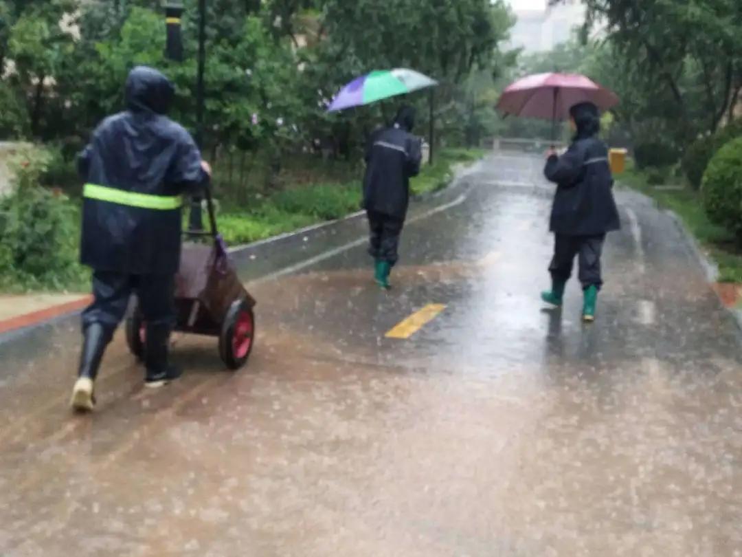 泰华物业是什么服务,衡水泰华物业最新消息