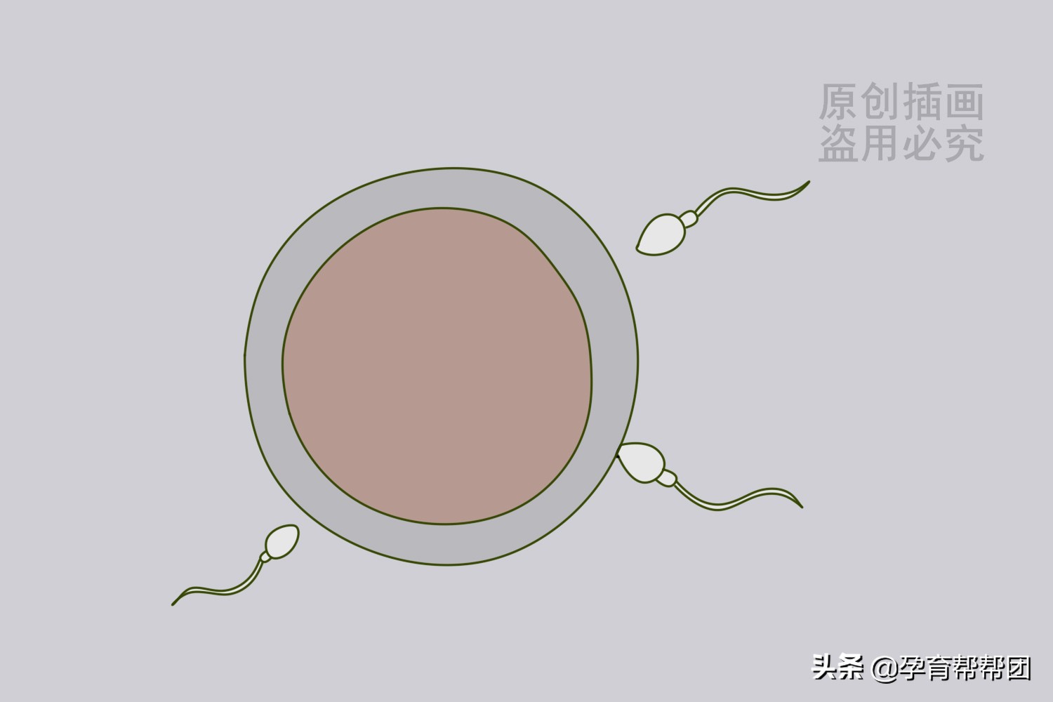 两年一直怀不上孩子是怎么回事,一直怀不住孩子是什么原因呢