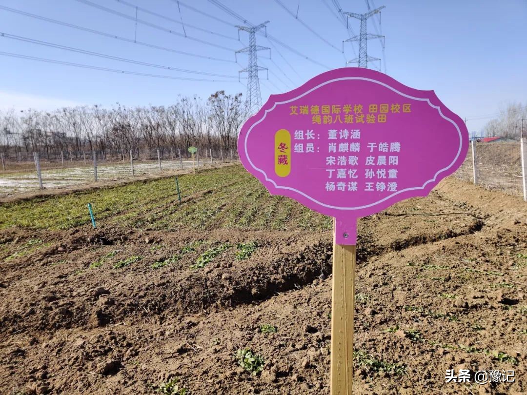 郑州一学校租300亩地教种地，不让家长改作业，也不让上补习班