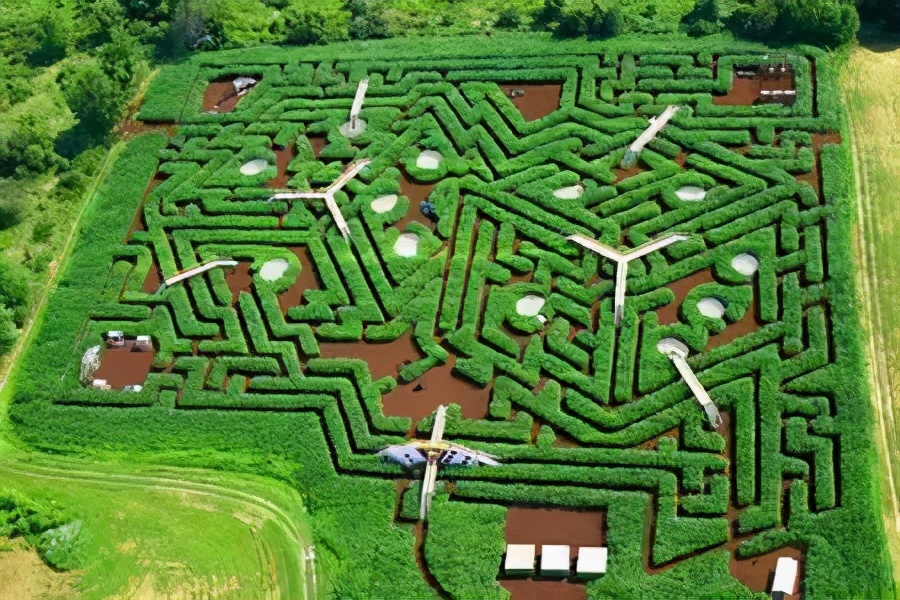 世界上十大迷宫之最图片,世界上著名的迷宫有哪些
