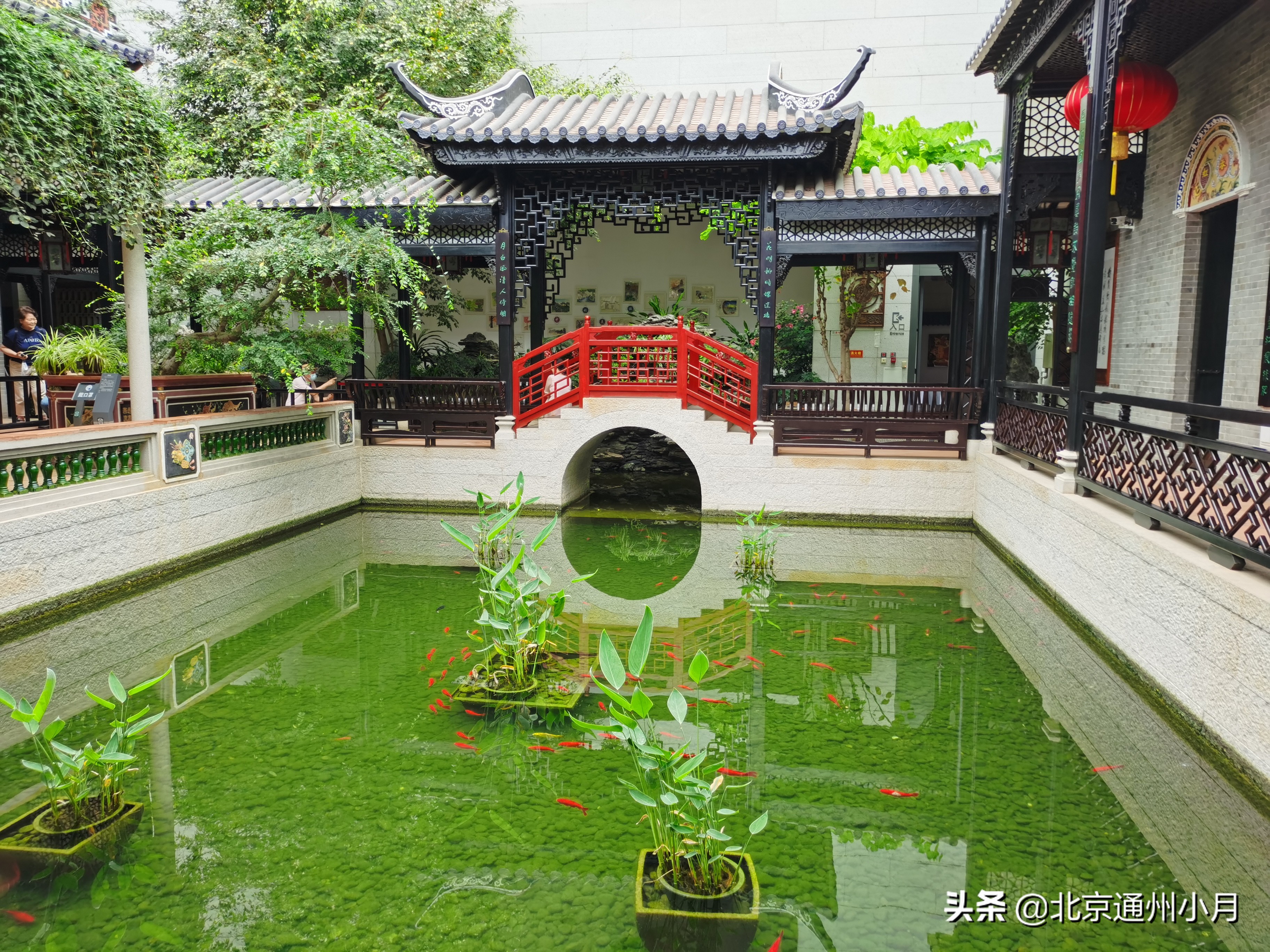 北京适合遛娃的公园,北京户外遛娃好去处冬天