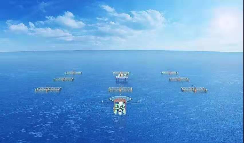 蓝色经济与海洋经济,蓝色经济史话