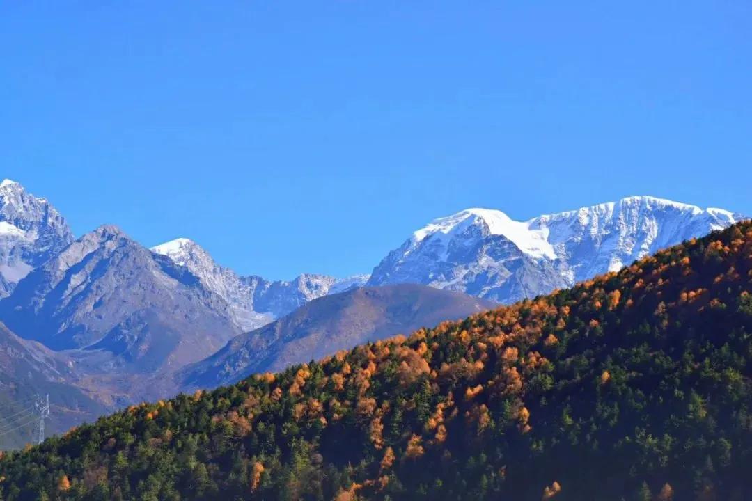 每周摄影作品全集,摄影作品展活动4k视频