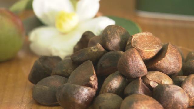 飘香千年的茶油,湖南茶油有哪些好处