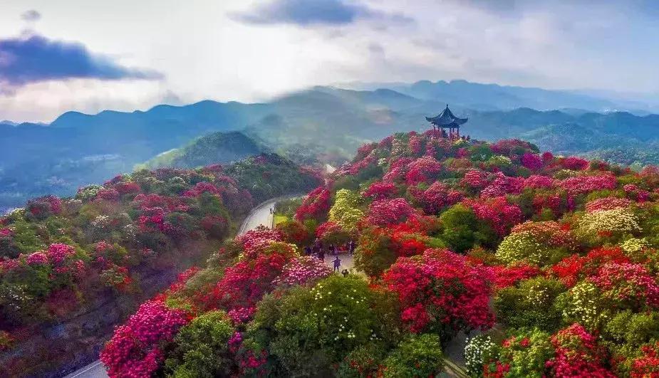 贵州黔东南为什么那么火,黔东南在贵州算不算穷的地方