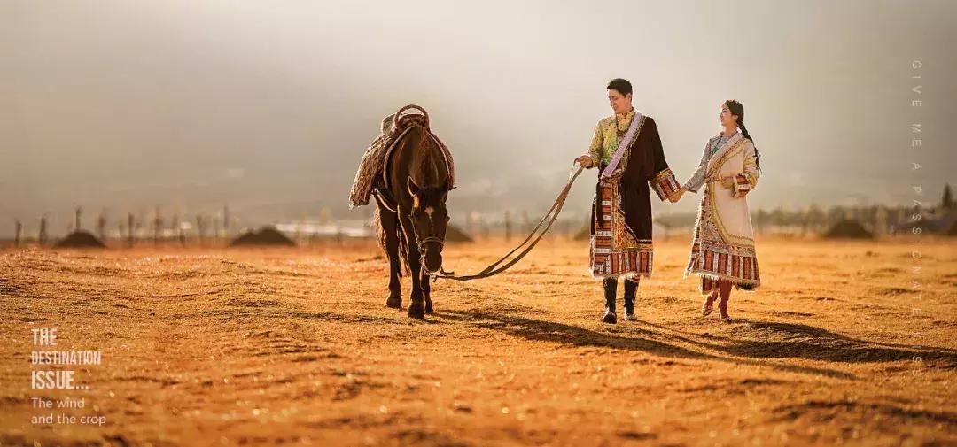 看了照片，我3秒钟就决定要去丽江