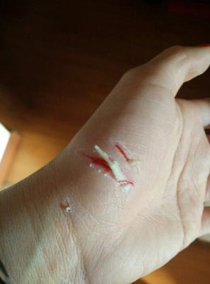 给猫喝酒把狗灌醉,给猫喝酒后喘息声大