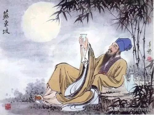 五个维度解读东坡,五个维度提升思考深度