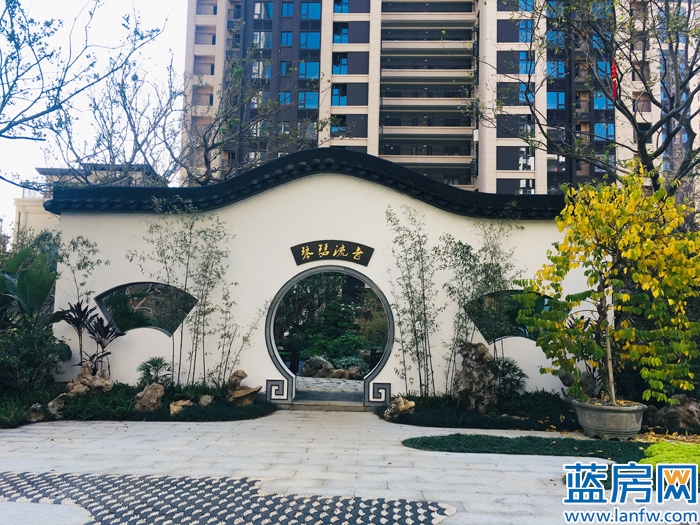 龙岩蓝房最新消息,蓝房探盘