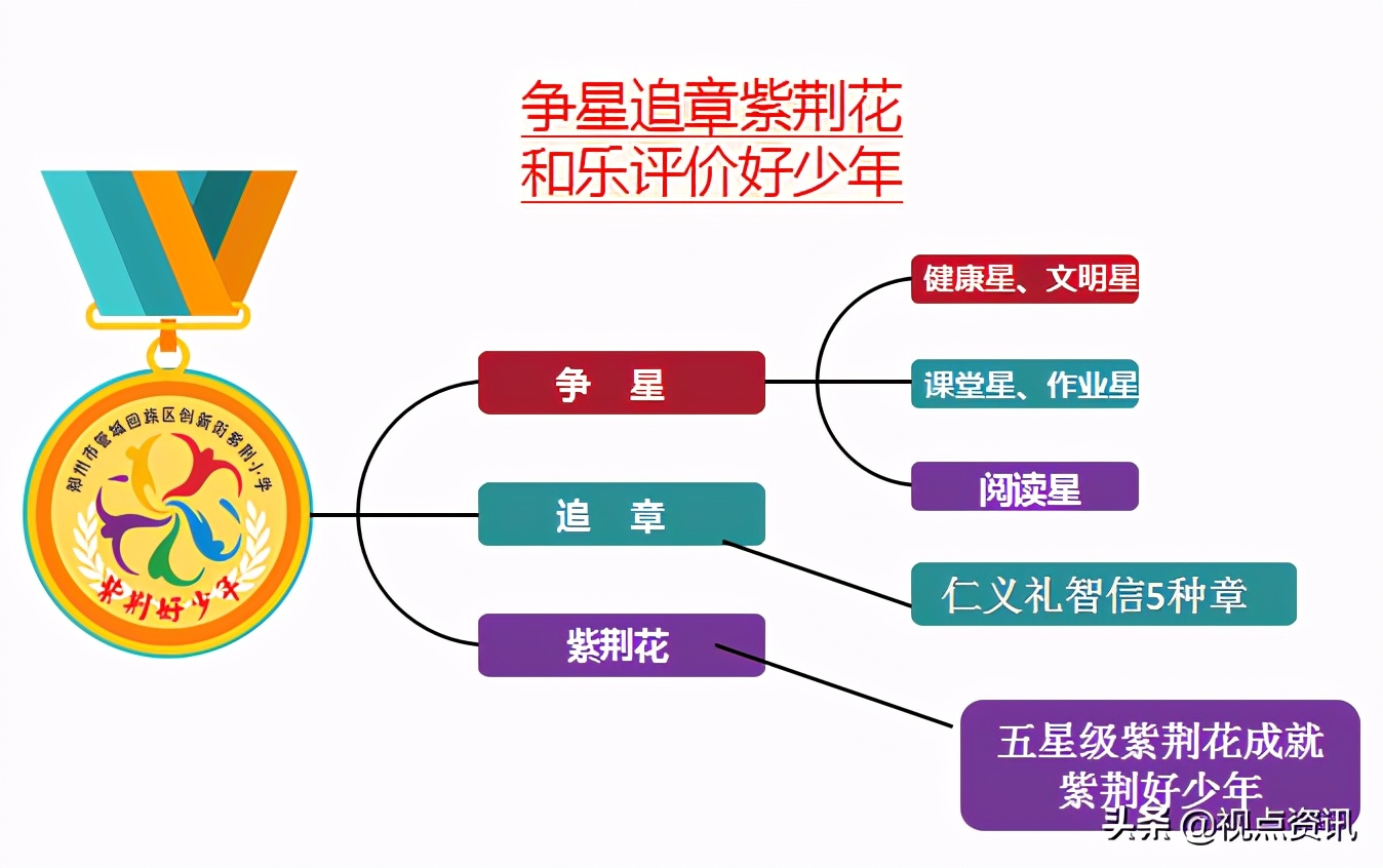 管城区创新街紫荆小学怎么样,紫荆花开教育