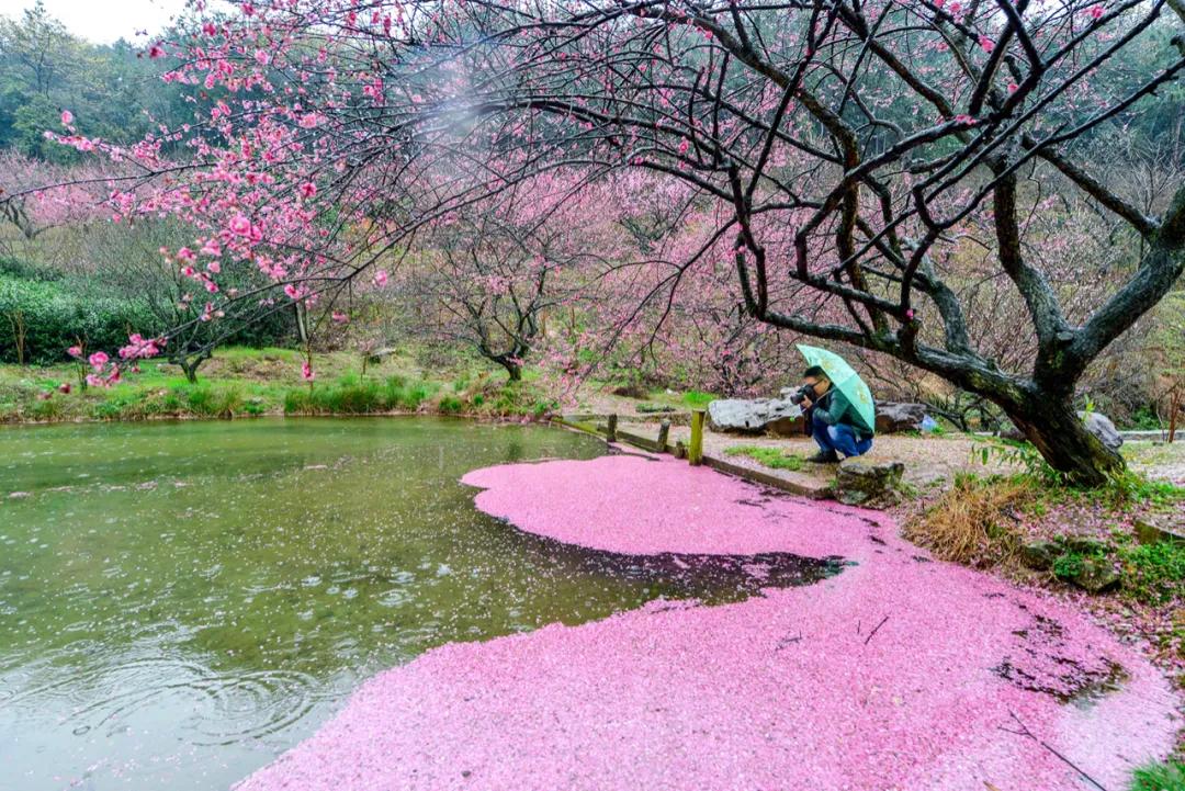 中文能有多浪漫,中文真的很浪漫