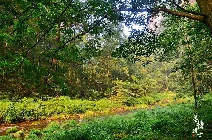 去张家界自助游攻略,张家界免门票自助游攻略图片真实