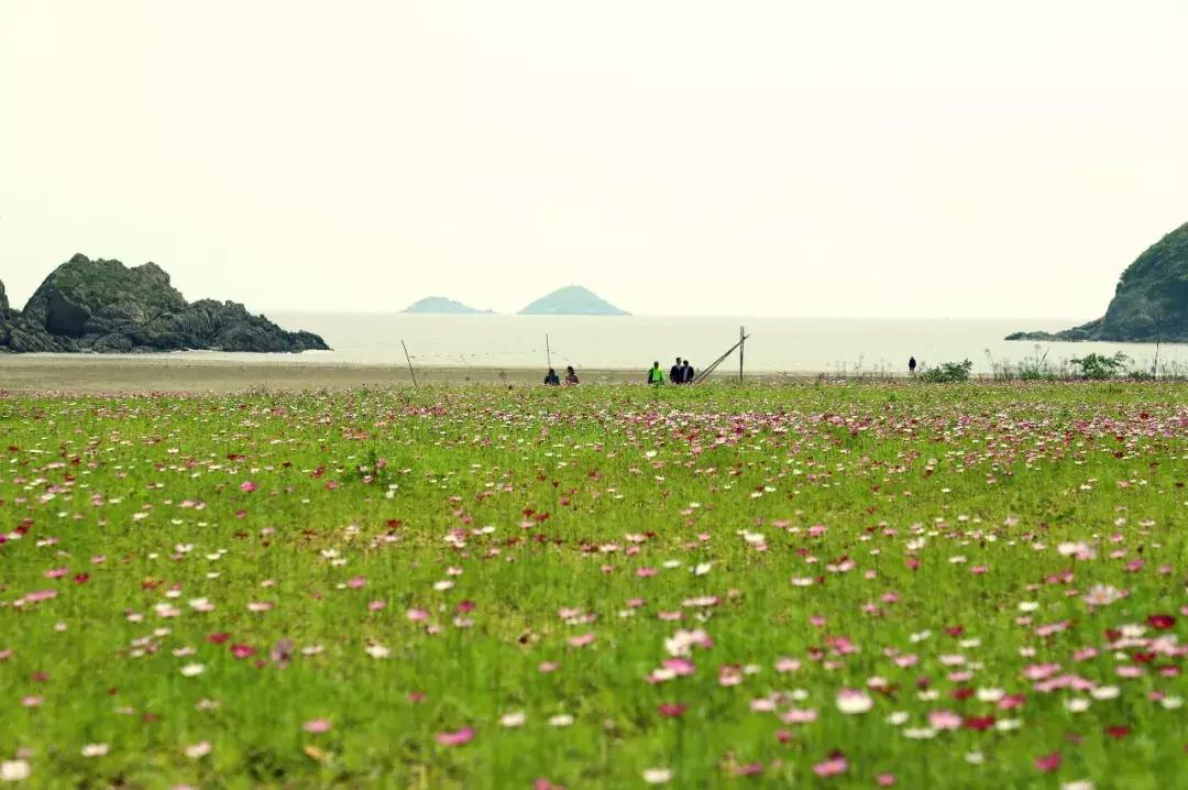 宁波奉化最美沙滩,宁波6个最美沙滩