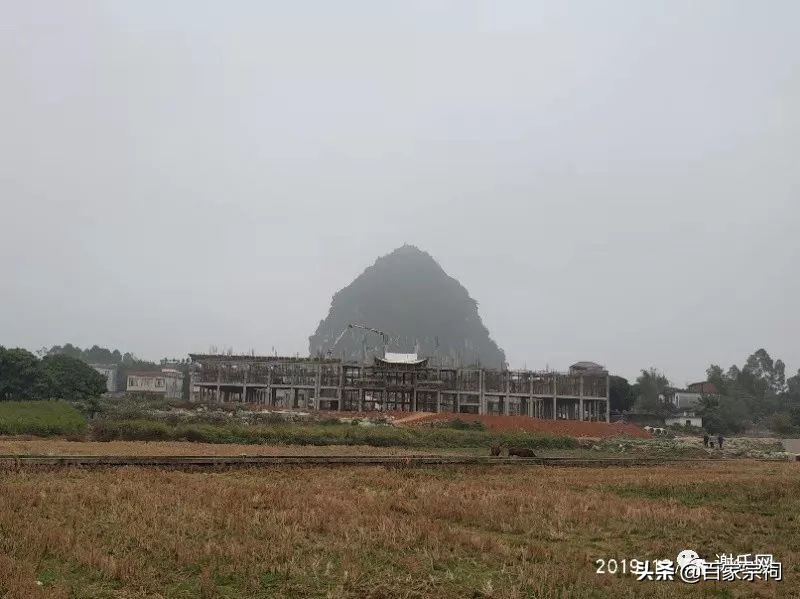 横县谢氏大宗祠典礼,广西横县谢氏祠堂建在哪里