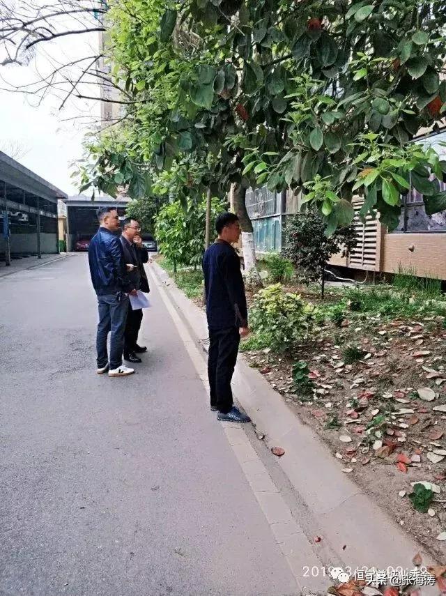 物业资讯：恒宇尊城小区2019年第1季度物业服务考核结果的通报