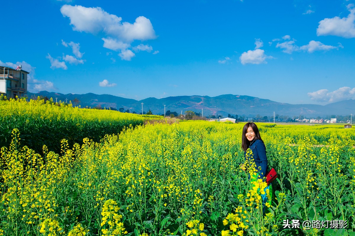 中国最美油菜花赏花地图,中国最美油菜花打卡地方