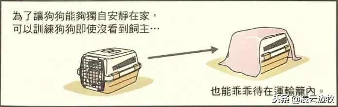 如何解决狗狗自己在家的叫唤,怎么纠正狗狗出门乱叫