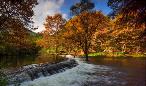 抖音上最火的花果园视频,花果园抖音最火版本
