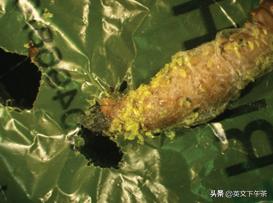 专业英语阅读理解题技巧和方法,科技类英语阅读理解100篇翻译