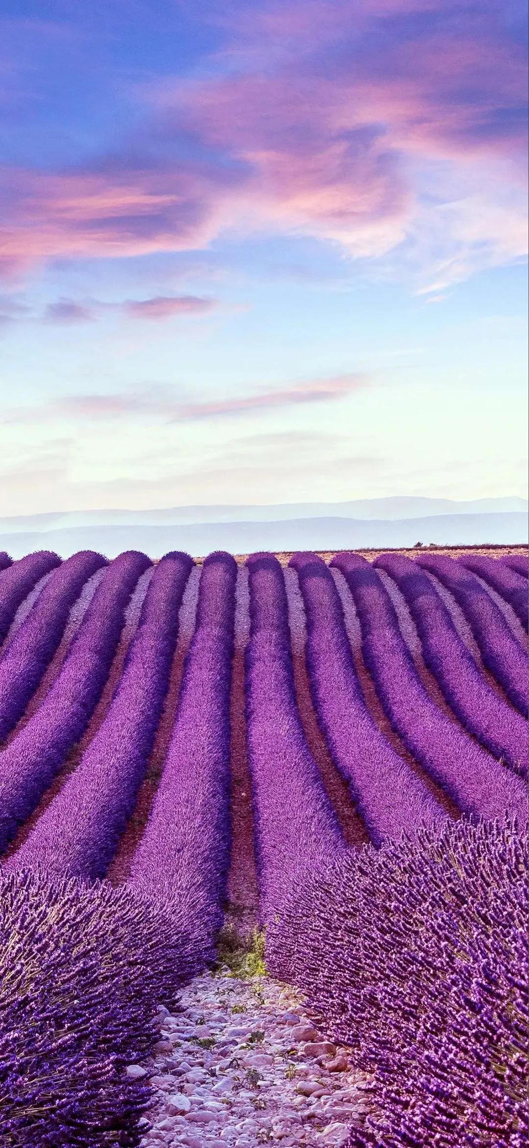 好看的手机壁纸美景,清晰到极致的风景手机壁纸