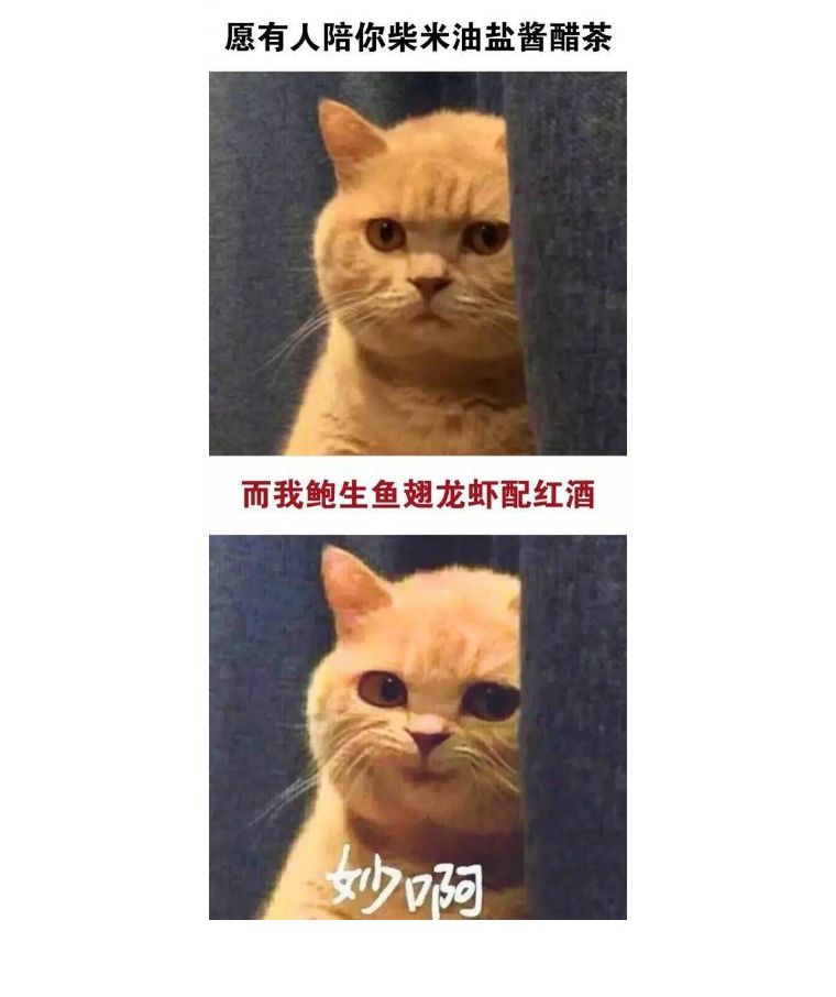 givemethetea,givemethetea怎么读