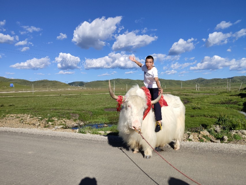 成都到茶卡盐湖旅游攻略,成都出发茶卡盐湖5日游