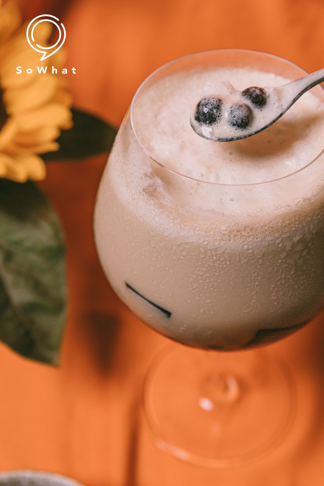 与其戒奶茶屡屡失败,不如安安分分做个奶茶系少女