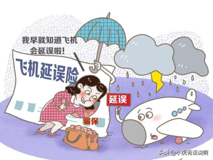 女子利用延误险漏洞,女子利用航班延误险5年赚300万