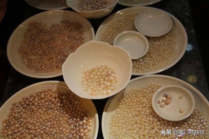 2018年厦门旅游购物陷阱,厦门旅游防被坑