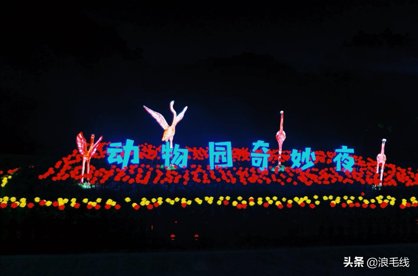 夜上海魔都在哪里,夜上海在哪里玩